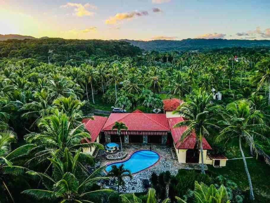 Palm House - Luxury Villa - Samana - Ocean Front Sánchez Eksteriør bilde