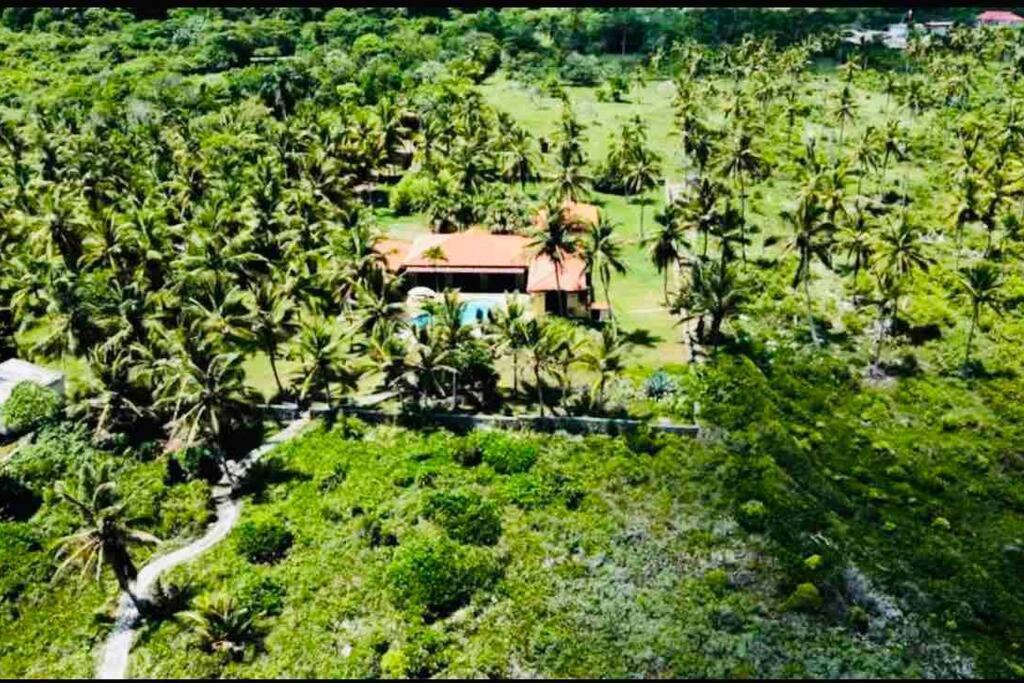 Palm House - Luxury Villa - Samana - Ocean Front Sánchez Eksteriør bilde