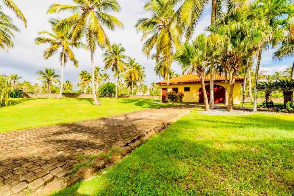 Palm House - Luxury Villa - Samana - Ocean Front Sánchez Eksteriør bilde