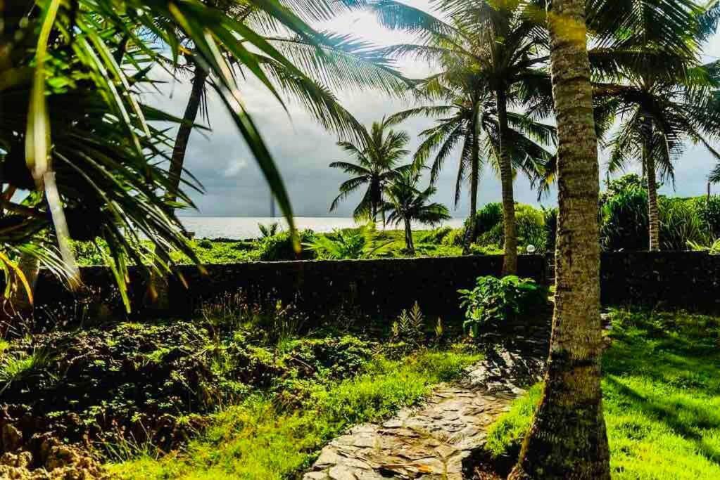 Palm House - Luxury Villa - Samana - Ocean Front Sánchez Eksteriør bilde