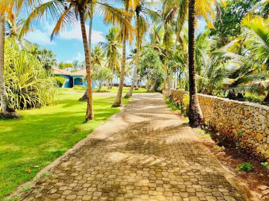 Palm House - Luxury Villa - Samana - Ocean Front Sánchez Eksteriør bilde