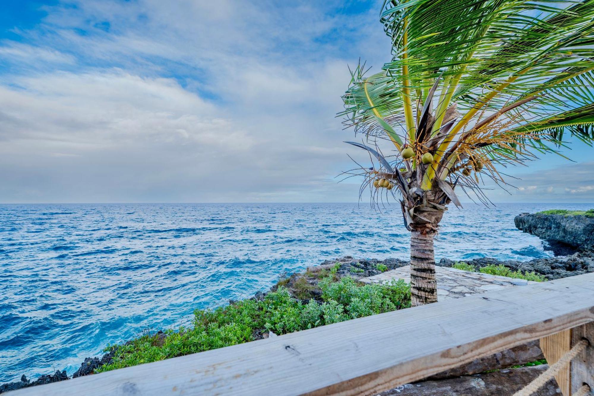 Palm House - Luxury Villa - Samana - Ocean Front Sánchez Eksteriør bilde